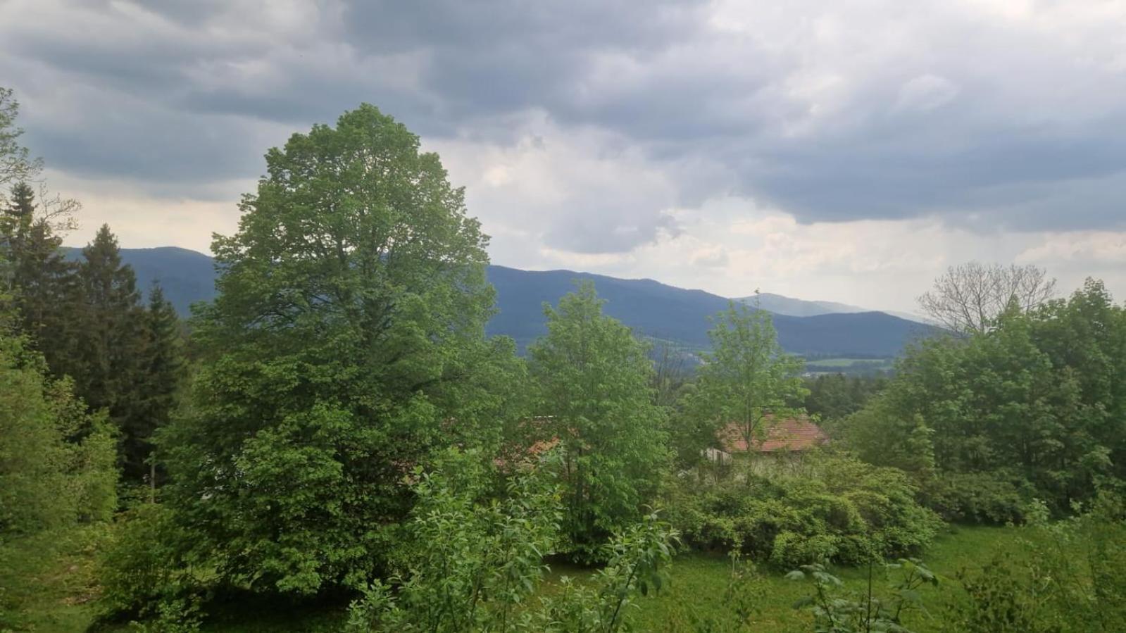 Schoene Unterkunft In Lohberg Mit Grillplatz Und Balkon المظهر الخارجي الصورة